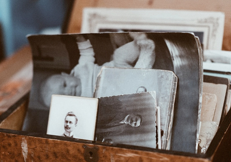 Phasellus dignissim turpis sed nulla